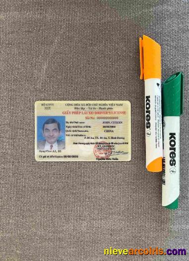 Vietnam driving license photolook